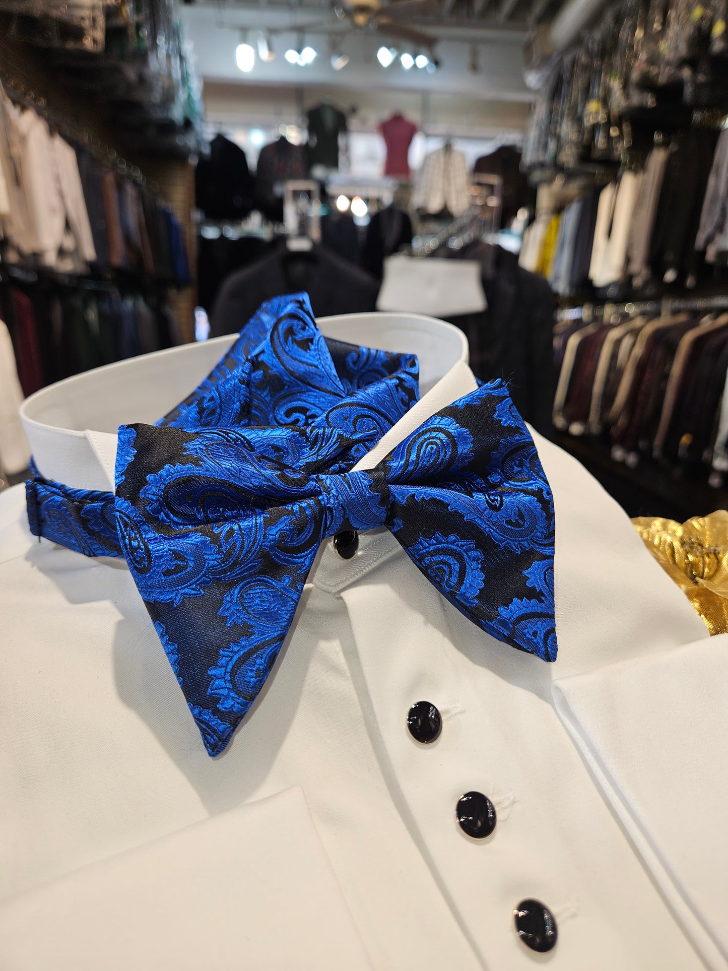 Men's Large and luxurious paisley design Bowtie and handkerchief