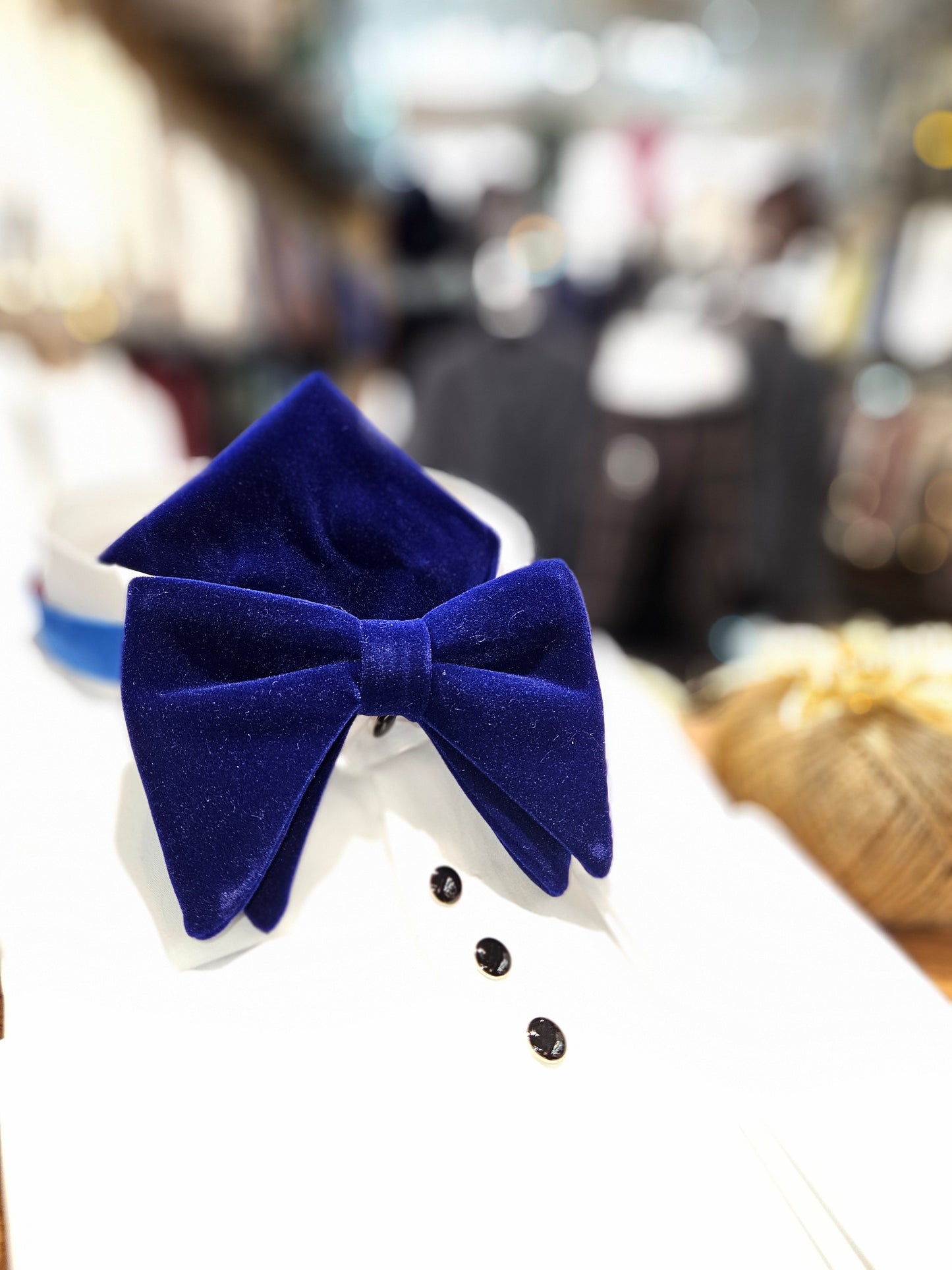 Men's Long and luxurious Velvet Bowtie and handkerchief