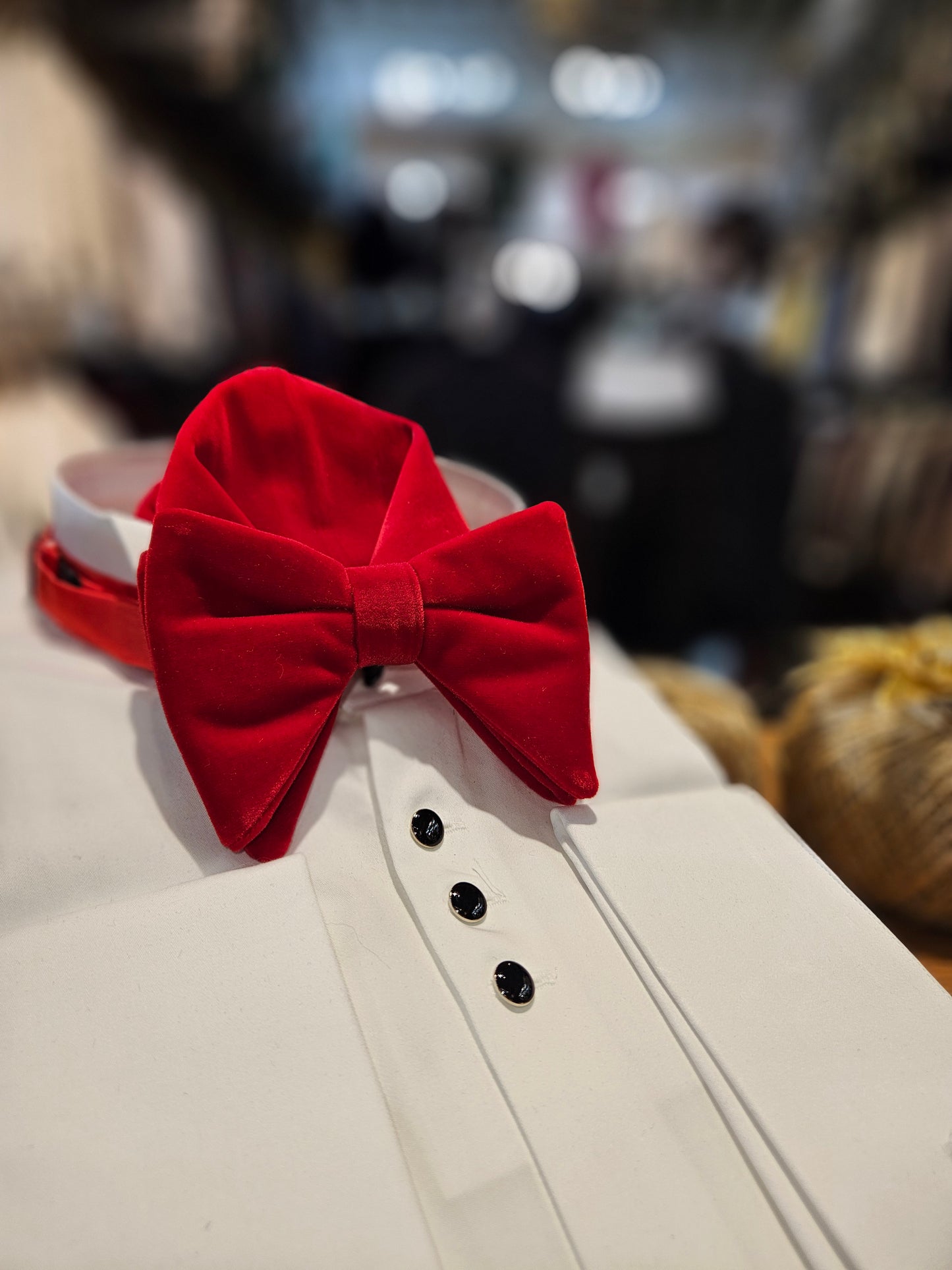 Men's Long and luxurious Velvet Bowtie and handkerchief